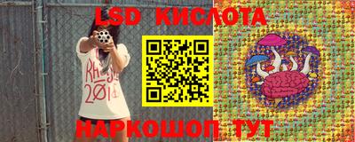 сатива Сланцы