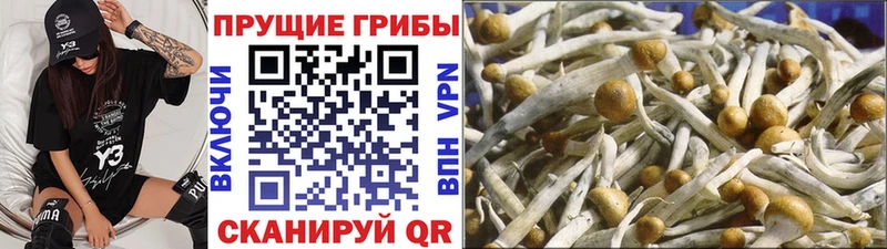 Галлюциногенные грибы ЛСД  kraken зеркало  Нарьян-Мар 