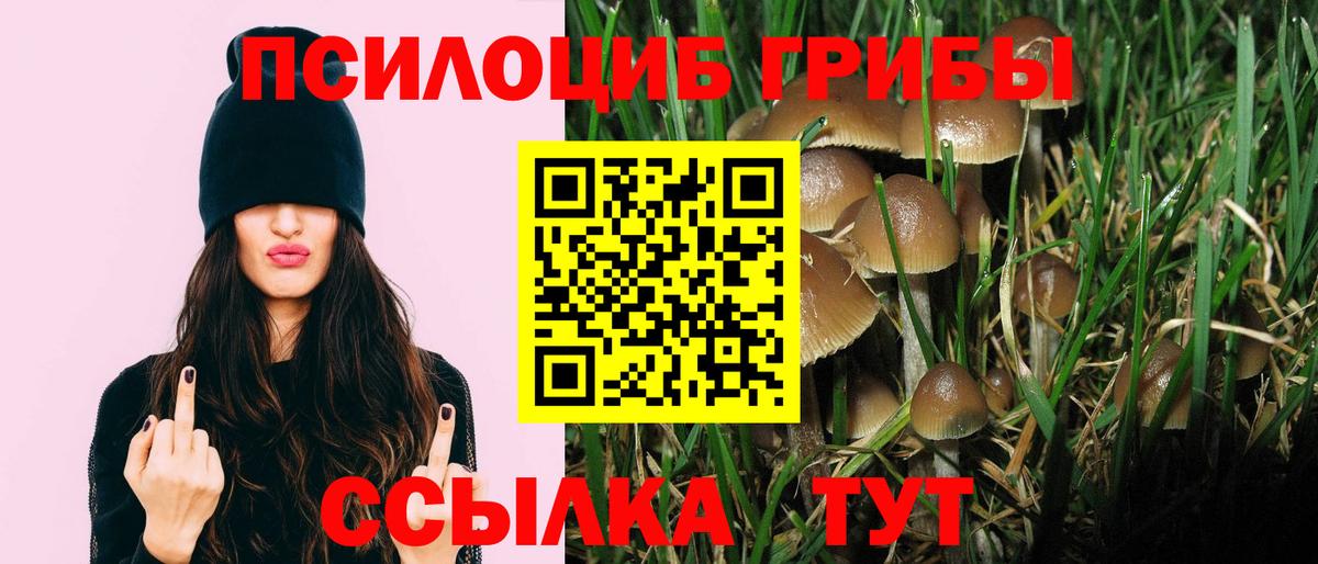Псилоцибиновые грибы мицелий Нарьян-Мар