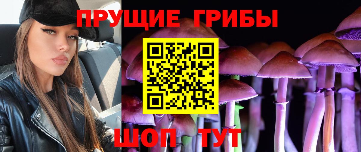 Псилоцибиновые грибы мицелий  Псилоцибиновые грибы мухоморы  хочу   Нарьян-Мар  Вход с VPN 