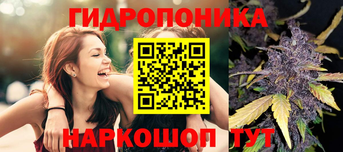 Конопля индика Нарьян-Мар